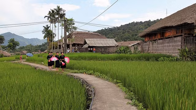 Hành trình trở về tuổi thơ