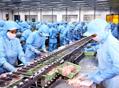 Brazil cấp phép nhập khẩu trở lại thủy sản Việt Nam