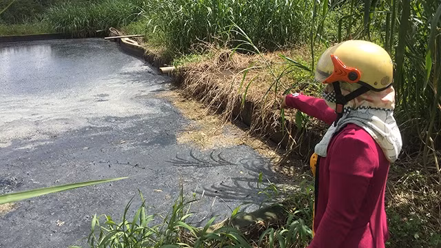 Một hồ chứa nước thải của nhà máy chế biến mủ cao-su Công ty Phương Triều Đại.