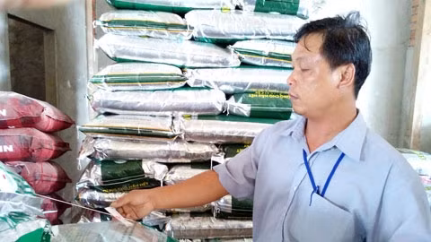 Lực lượng chức năng kiểm tra, niêm phong các sản phẩm phân bón vi phạm.