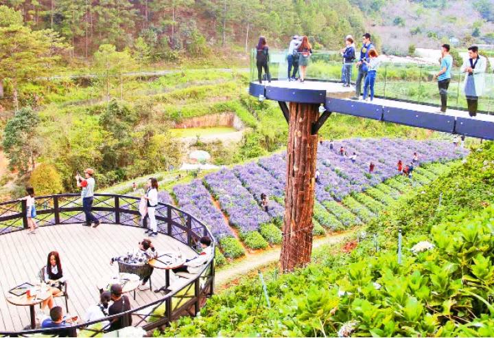 Du khách đến với cánh đồng hoa ở Đà Lạt.
