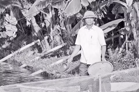 Ông Nguyễn Văn Vuông cho cá ăn.