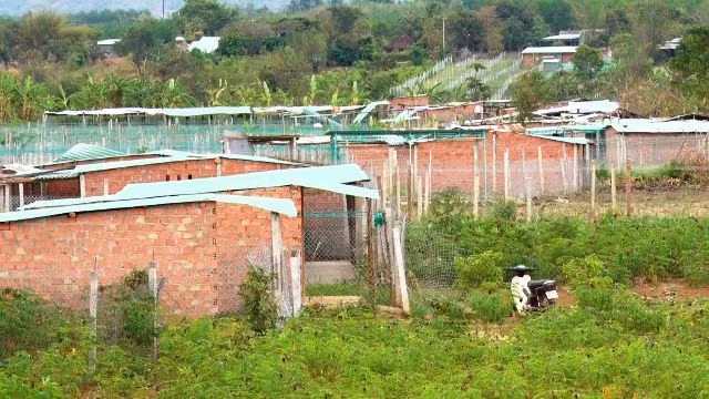 Hàng trăm ngôi nhà tạm được xây dựng dày đặc chờ đền bù tại dự án đường nối QL24 tại Kon Tum
