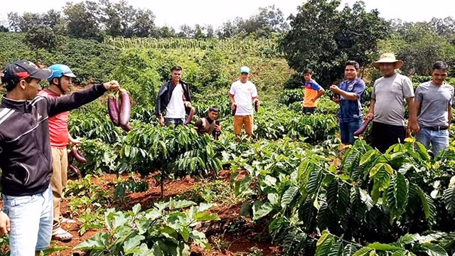 Các thanh niên DTTS trong một chuyến trải nghiệm thực tế ở các buôn làng tỉnh Đắk Lắk.