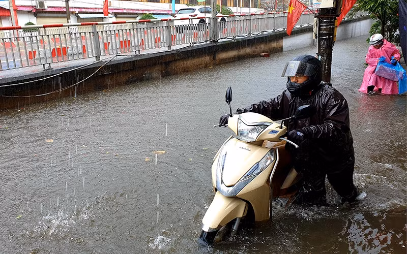 Người dân Nam Định dắt xe giữa nước ngập đúng vào sáng mùng Một Tết.