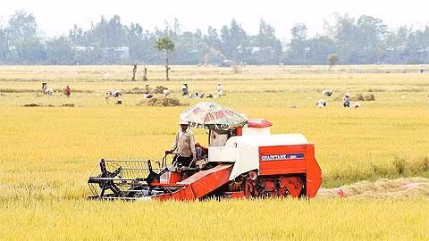 ĐBSCL đang tiến tới cơ giới hóa trong sản xuất nông nghiệp.