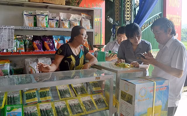 Đoàn thanh tra của Chi cục Trồng trọt và Bảo vệ thực vật kiểm tra phân bón tại một cửa hàng ở xã Liên Vũ (huyện Lạc Sơn, tỉnh Hòa Bình).Ảnh: THU TRANG