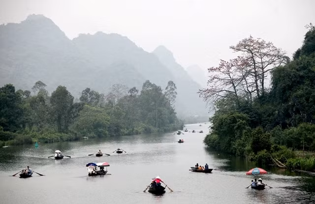 Hằng năm, cứ vào cuối tháng 3 sang đầu tháng 4, hoa gạo lại bừng nở dọc hai bên suối Yến, lối vào chùa Hương, tạo nên khung cảnh mùa xuân rực rỡ.