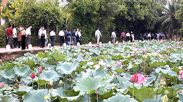 Quê Bác mùa sen nở. Ảnh: SỸ MINH