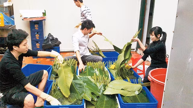 Những học viên của KOTO gói bánh chưng tặng người nghèo.