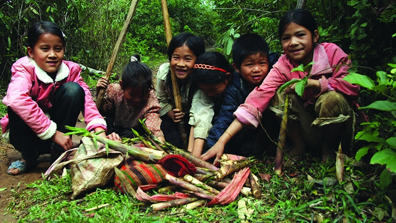 Mùa măng đắng