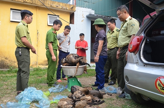 Tang vật của một vụ buôn bán trái phép ĐVHD.