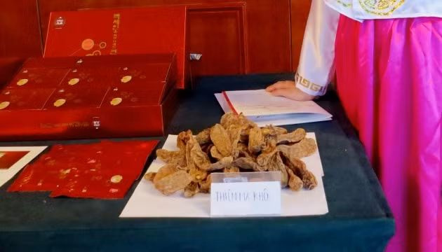 Hàn Quốc giới thiệu củ Thiên Ma tới người Việt