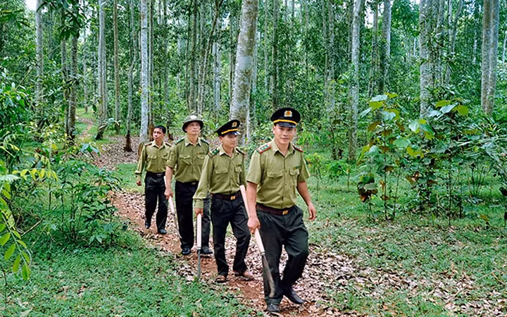 Cán bộ Hạt Kiểm lâm huyện Na Hang (tỉnh Tuyên Quang) tuần tra, bảo vệ rừng tại xã Năng Khả. Ảnh: QUỐC VIỆT