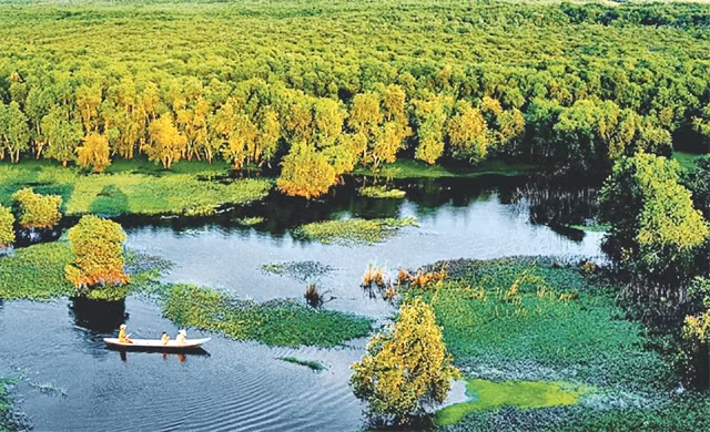 Lang thang đất rừng phương Nam