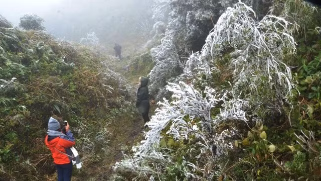 Băng tuyết rơi dày trên diện rộng ở Sa Pa, sáng 17-12-2015. 