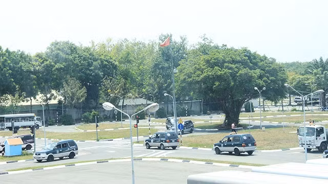 Thời gian tới, TP Hồ Chí Minh sẽ siết chặt công tác đào tạo, sát hạch lái xe.