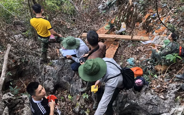 Công an huyện Bạch Thông khám nghiệm hiện trường vụ chặt hạ nghiến trái phép.