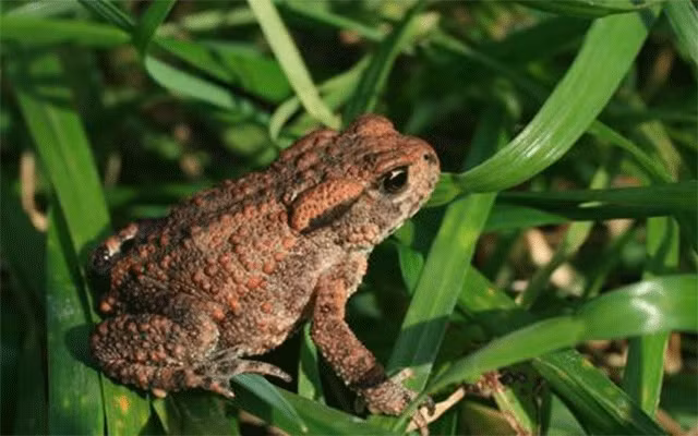 Ảnh minh họa: internet