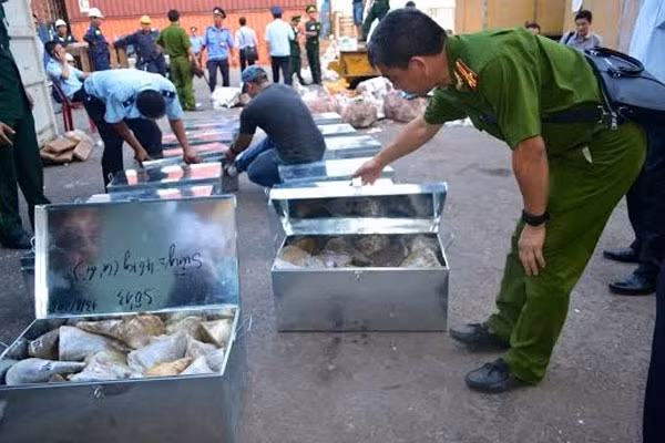 Thu giữ gần một tấn ngà voi, sừng tê giác nhập lậu về cảng Tiên Sa 