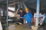 Hiệu quả nhờ đa dạng hóa ngành nghề