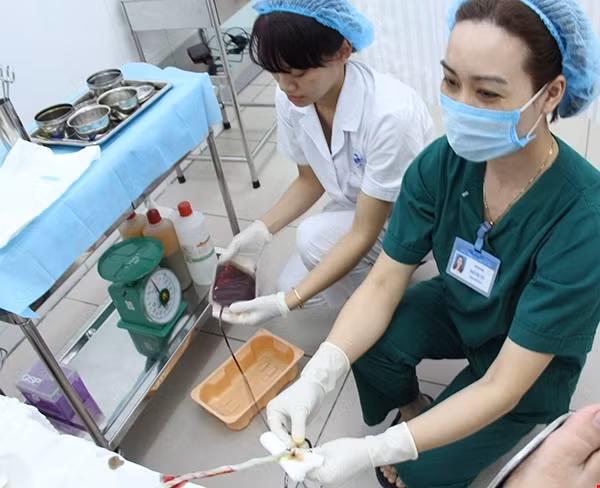 Các điều dưỡng đang tiến hành lấy mẫu máu dây rốn sau khi sản phụ vừa sinh xong. (Ảnh: VHH-TMT.Ư)