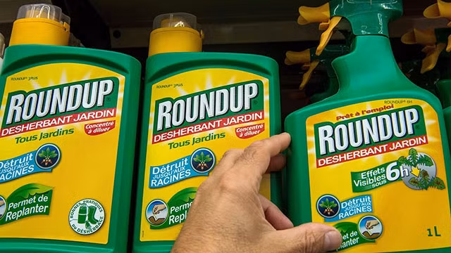 Thuốc diệt cỏ Roundup của Monsanto. Ảnh: GETTY