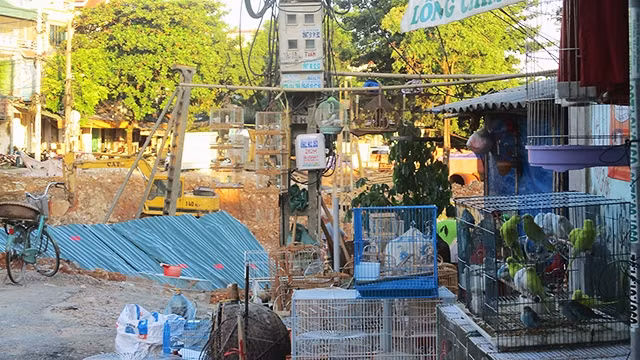 Chim rừng được bày bán công khai với số lượng lớn và đa dạng về chủng loại.