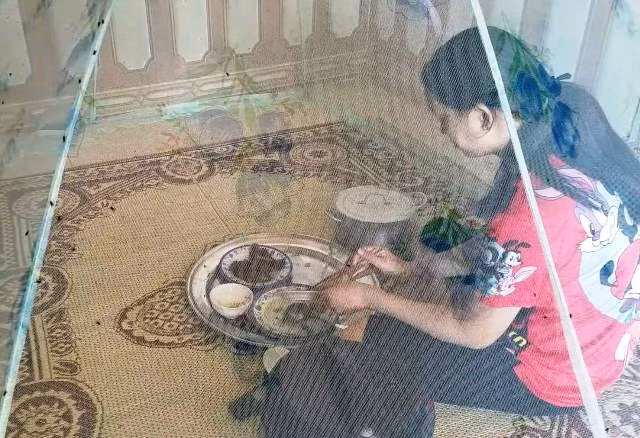 Có nhiều thời điểm, người dân thị trấn Nông trường Việt Trung phải ngồi trong màn ăn cơm để tránh ruồi.