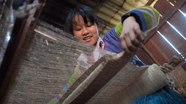 Sản xuất lanh tại Lùng Tám.