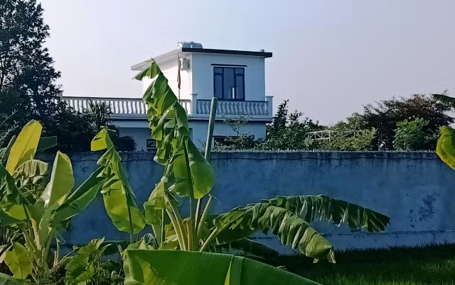 Đất nông nghiệp ở xã Vũ Chính, TP Thái Bình, tỉnh Thái Bình đã bị người dân mua bán, chuyển nhượng trái phép để xây nhà ở.