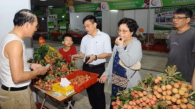 Huyện Lục Ngạn (Bắc Giang) luôn mong muốn có sản phẩm chế biến từ vải thiều, nhưng đến giờ vẫn chủ yếu là bán sản phẩm tươi. Ảnh: LAM ANH
