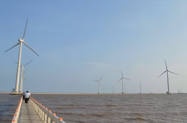 Trên “cánh đồng điện gió” Bạc Liêu - công trình trọng điểm của tỉnh.