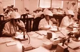 Một cơ sở sản xuất của Công ty
Minh Trân.