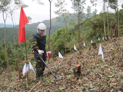 Nhân viên Ðội dò tìm số 11, Trung tâm Công nghệ Xử lý bom, mìn (Binh chủng Công binh) thực hiện dò tìm mìn, vật nổ tại điểm cao 636 thuộc xã Quốc Khánh, huyện Tràng Ðịnh (Lạng Sơn).