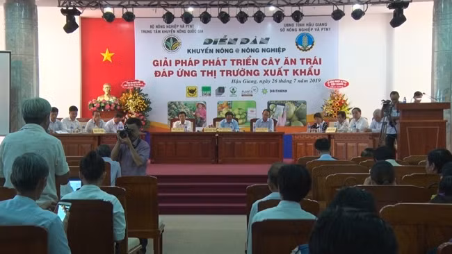 Quang cảnh diễn đàn.