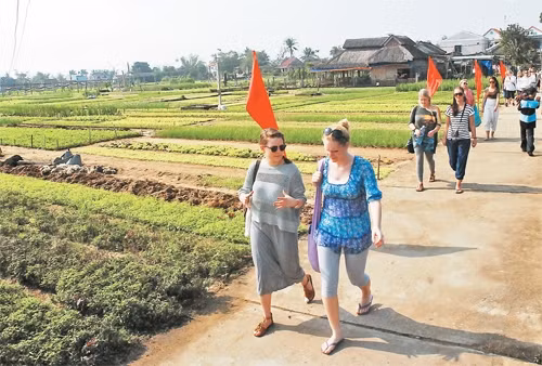 Du khách tham quan làng rau Trà Quế.