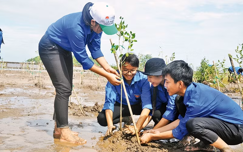 Người dân huyện Trần Văn Thời (Cà Mau) trồng rừng ngập mặn và bảo vệ bãi ven biển. Ảnh | Ðàm Hoa