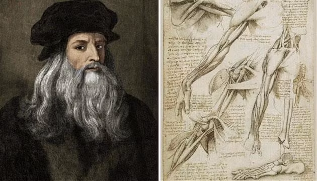 Chân dung Leonardo cùng với phác thảo cơ và xương người.