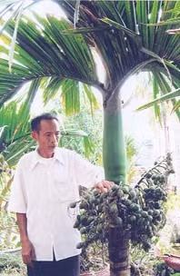 "Vua" cau đất kinh Bắc