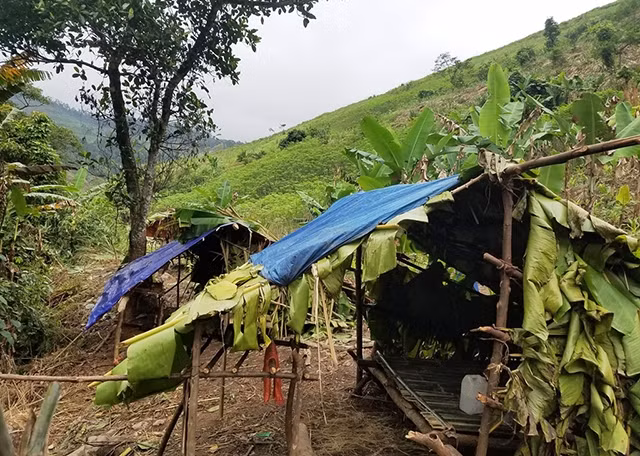 Lán của bà con bản Lòm ở lại trong ngày khi vào rừng làm rẫy. 