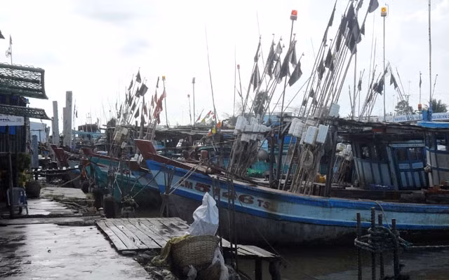 Tàu khai thác neo đậu bên trong cửa biển Khánh Hội, huyện U Minh, tỉnh Cà Mau.