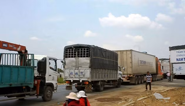 Né trạm cân làm tắc nghẽn giao thông trên QL1A