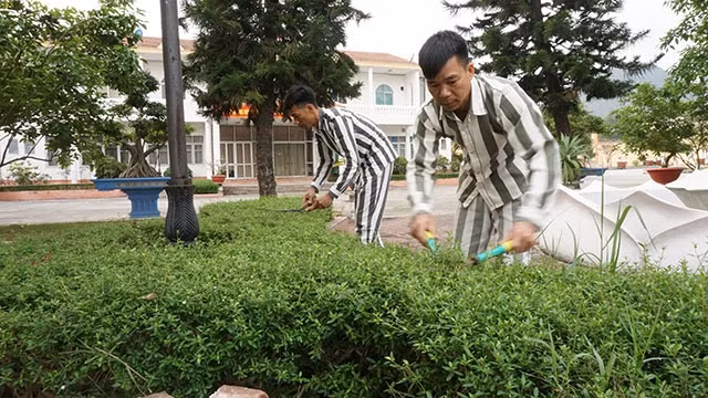 Các phạm nhân tại Trại giam Hoàng Tiến tích cực lao động.