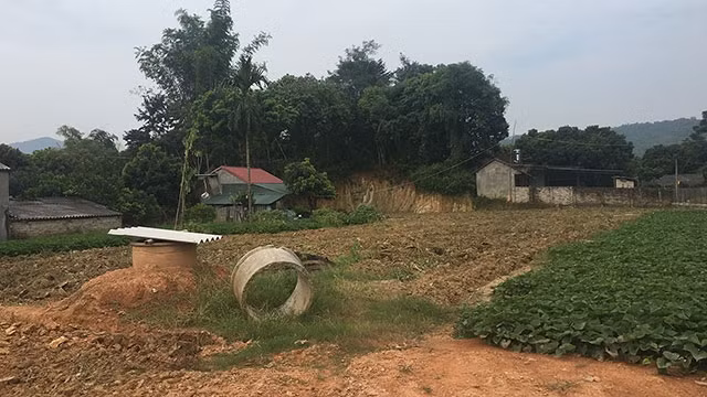 Đồi Pom Lót giờ chỉ còn một góc.