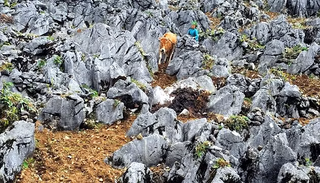 Làm cáp treo trên công viên địa chất Cao nguyên đá Đồng Văn