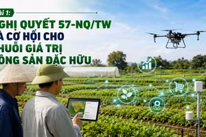 Khoa học công nghệ mở ra cơ hội nâng cao giá trị nông sản đặc hữu của Việt Nam (Ảnh minh họa có sử dụng AI)