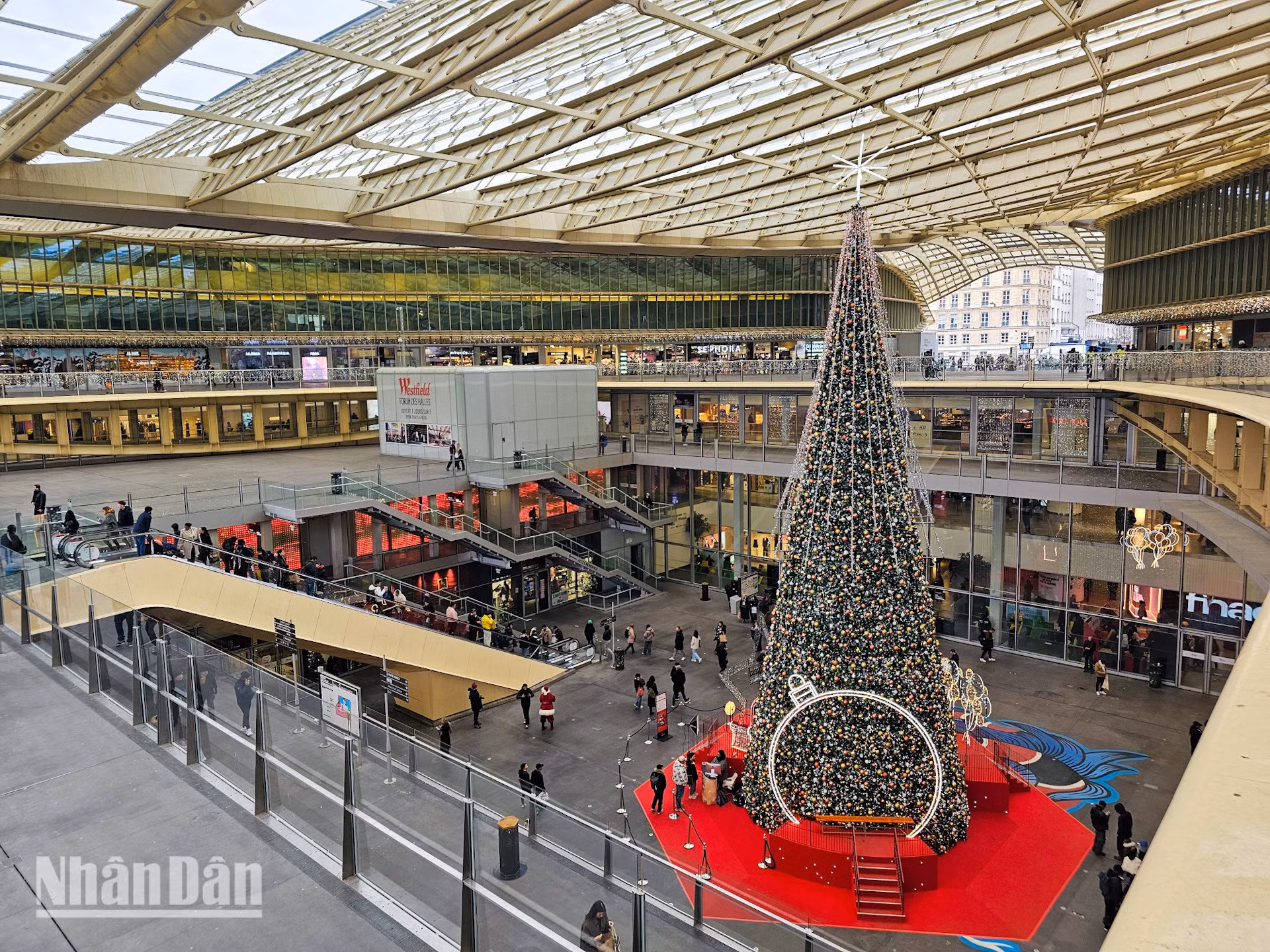 noel-paris-2025-duy-6.jpg