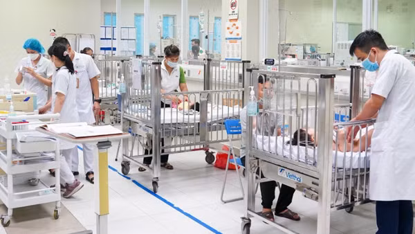 Trong một tháng vừa qua, Khoa Cấp cứu và Chống độc đã tiếp nhận nhiều trường hợp bị chó cắn, trong đó nhiều trẻ đa chấn thương nghiêm trọng.