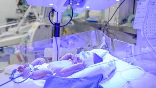 Trẻ mang kháng thể anti-Jk3 - nhóm máu cực hiếm và ngân hàng máu cũng không có sẵn đơn vị tương thích để truyền.